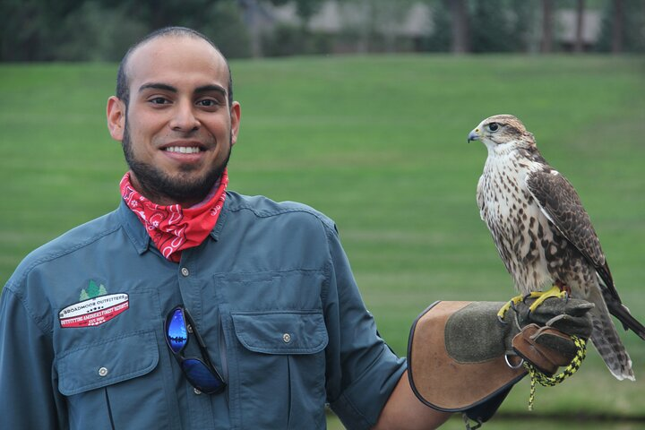 Colorado Springs Hands-On Falconry Class and Demonstration - Photo 1 of 7